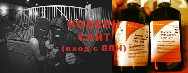 прущий лед Богданович