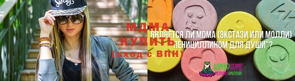 прущий лед Богданович