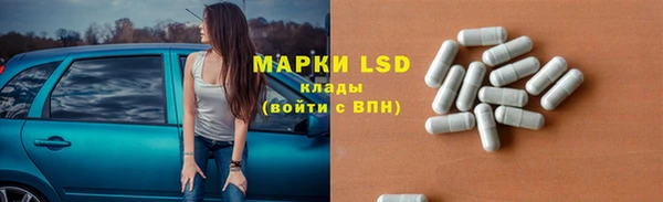 прущий лед Богданович