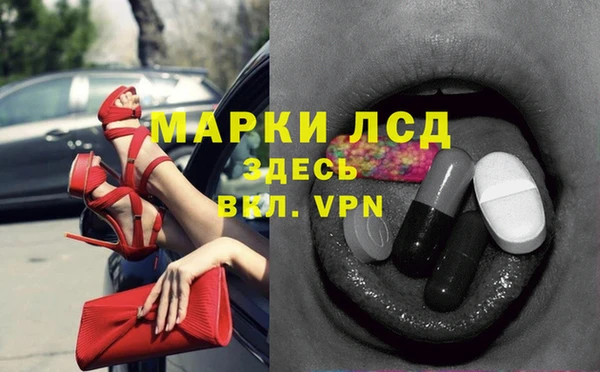 прущий лед Богданович