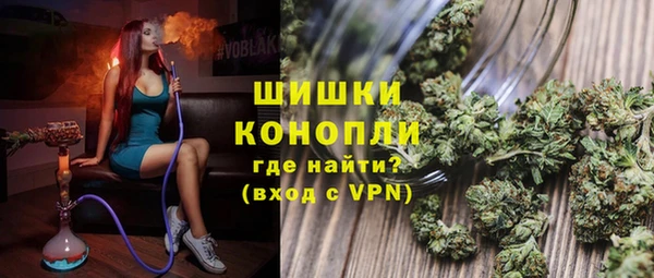 прущий лед Богданович