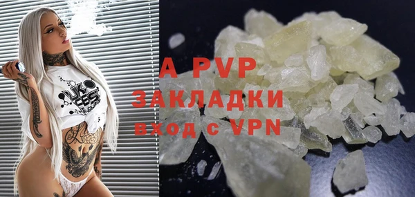 прущий лед Богданович
