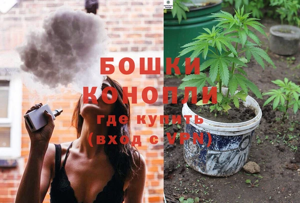 прущий лед Богданович