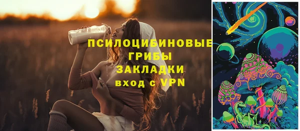 скорость Богородицк